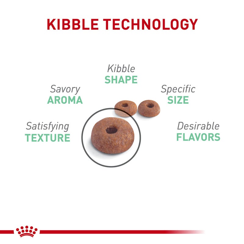 Royal Canin Feline Care Nutrition Digestive Care Adult Dry Cat Food, 3 lb Bag - Image 2